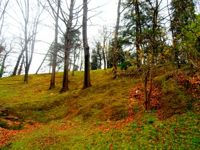 Santa Barbarako harizti zaharra.