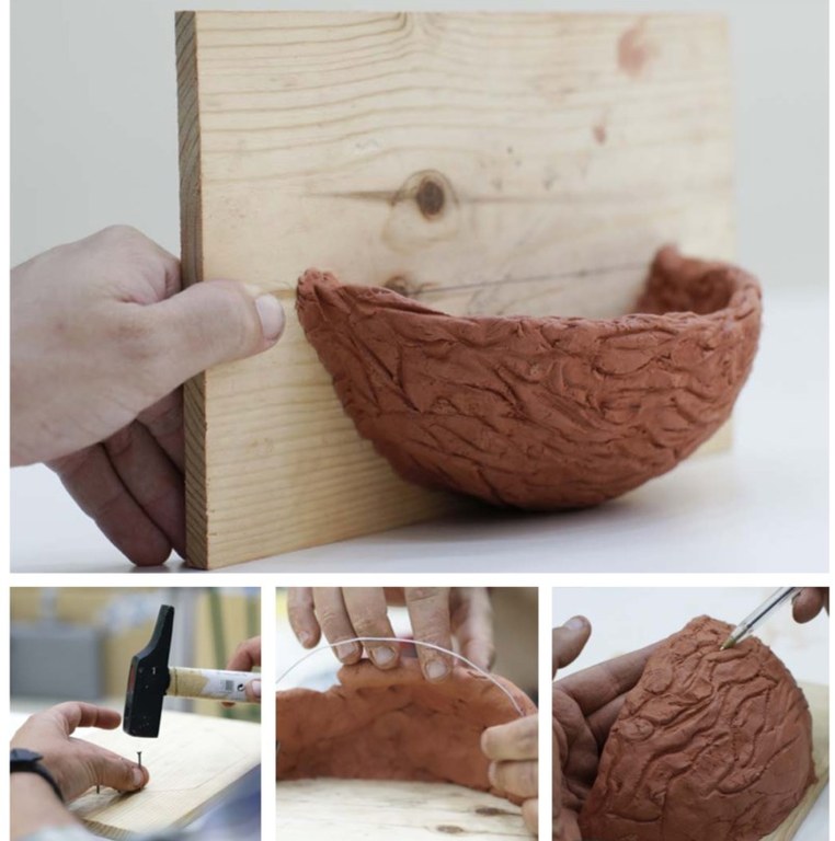 taller-nido-golondrina.jpg taller-nido-golondrina.jpg