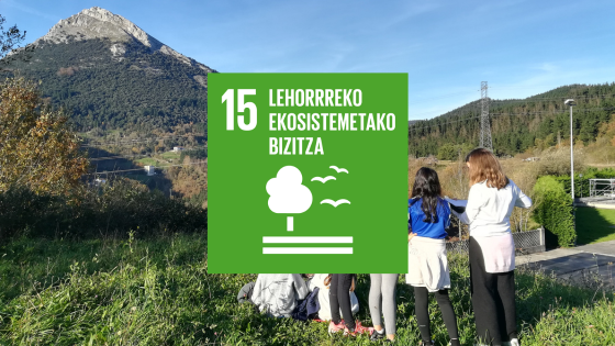 2024/2025 ikasturteko ondorioak, proposamenak eta konpromisoak