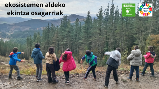 2025/2026 ikasturteko ondorioak